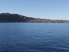 bahia de tortugas